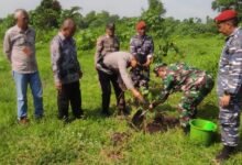 SINERGITAS POLRES PROBOLINGGO BERSAMA TNI LESTARIKAN LINGKUNGAN TANAM POHON DI GUNUNG BENTAR 1000170464