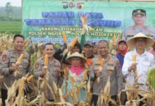 USAI CURHAT KE KAPOLRES MOJOKERTO PETANI JAGUNG LEGA HASIL PANEN DISERAP BULOG SESUAI HPP 1000175552