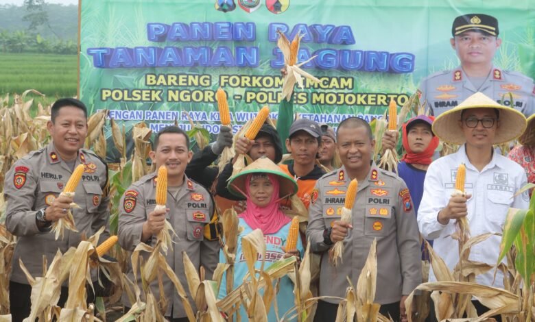 USAI CURHAT KE KAPOLRES MOJOKERTO PETANI JAGUNG LEGA HASIL PANEN DISERAP BULOG SESUAI HPP 1000175552