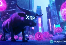 XRP BISA MELIHAT BREAKOUT HARGA 200% DENGAN SAINGAN XRP BARU INI MENGIKUTI PAKAIAN CRYPTO NEWS XRP BULL OPTION04.WEBP