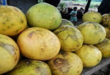 FAKTA MAKAN JERUK SEHARI DAPAT KURANGI DEPRESI 20 PERSEN BUAH