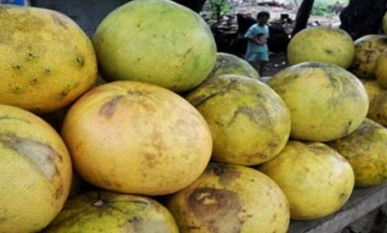 FAKTA MAKAN JERUK SEHARI DAPAT KURANGI DEPRESI 20 PERSEN BUAH