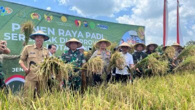 KAPOLRES KEDIRI KOTA BERSAMA FORKOPIMDA IKUTI PANEN RAYA PADI SERENTAK BERSAMA PRESIDEN RI 1000203837