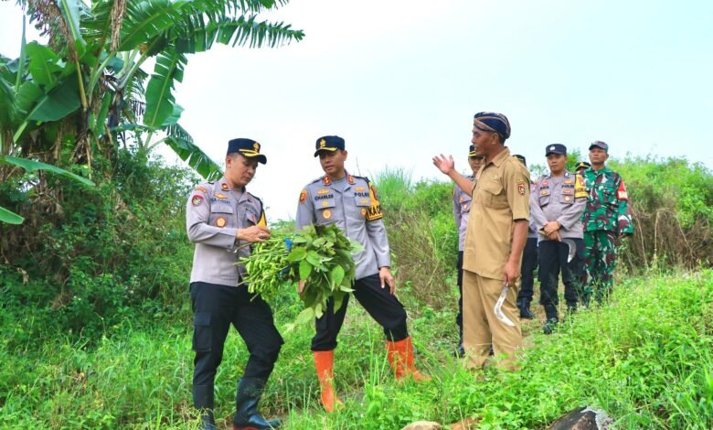 GELORAKAN SWASEMBADA PANGAN, KAPOLRES NGAWI BERI MOTIVASI PETANI EDAMAME 1000228544