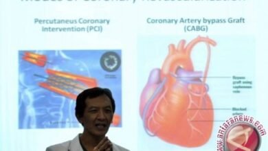 8 PENYEBAB PENYUMBATAN PEMBULUH DARAH OTAK YANG WAJIB DIKETAHUI 20130213DOKTER JANTUNG