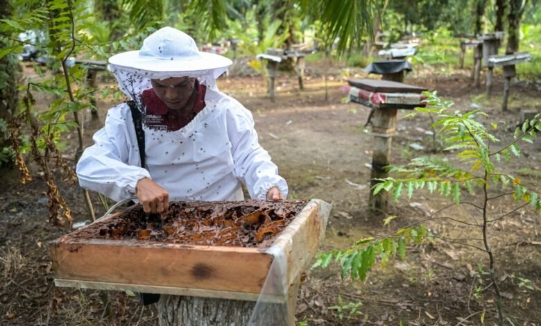 7 MANFAAT GARAM DAN MADU UNTUK KESEHATAN TUBUH BUDI DAYA LEBAH KELULUT BINAAN KILANG SUNGAI PAKNING 011124 FZN 1