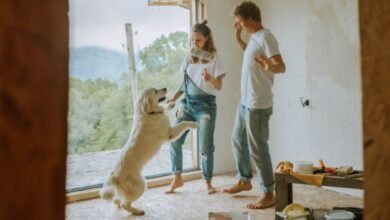 CARA BERANTAS &QUOT;BLACK MOLD&QUOT; DAN MENCEGAHNYA MUNCUL KEMBALI DI RUMAH PEXELS ANASTASIA SHURAEVA 5495067