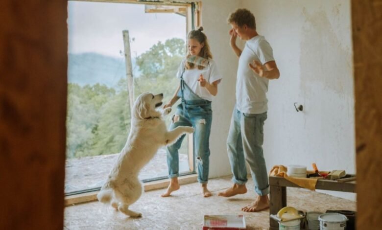 CARA BERANTAS &QUOT;BLACK MOLD&QUOT; DAN MENCEGAHNYA MUNCUL KEMBALI DI RUMAH PEXELS ANASTASIA SHURAEVA 5495067