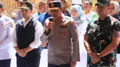 DUKUNG SWASEMBADA PANGAN, KAPOLDA JATIM BERSAMA FORKOPIMDA PANEN RAYA JAGUNG KUARTAL II DI NGAWI 1000245354