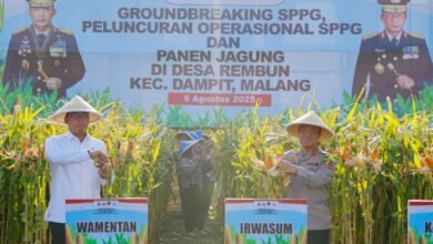 PANEN RAYA JAGUNG DI MALANG, WUJUD NYATA KOMITMEN POLRI DALAM KETAHANAN PANGAN NASIONAL IMG 20250807 WA0001
