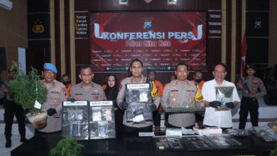 OPERASI TUMPAS NARKOBA POLRES BLITAR KOTA AMANKAN 9 TERSANGKA 1 DIANTARANYA PEMILIK LAHAN GANJA U3 SCREENSHOT 20250911 153422