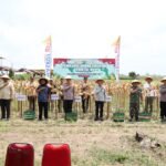 POLRES TULUNGAGUNG GELAR PANEN RAYA JAGUNG KUARTAL III DI DESA PAKEL KECAMATAN NGANTRU U4 IMG 20250928 WA0038