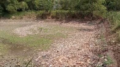 WADUK BENDUNGREJO NGANJUK MEMPRIHATINKAN, DIPENUHI SAMPAH DAN MINIM PERAWATAN U4 IMG 20250929 WA0038