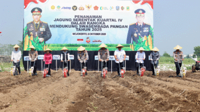 KAPOLDA JATIM PIMPIN PENANAMAN JAGUNG SERENTAK KWARTAL IV DI MOJOKERTO PAKAI BENIH ECO BHAYANGKARA U3 SCREENSHOT 20251009 083625