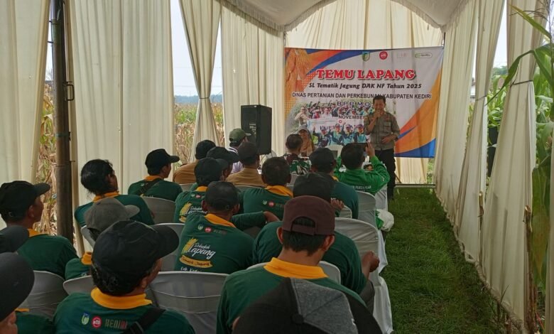 TEMU LAPANG SL TEMATIK JAGUNG, DORONG KETAHANAN PANGAN DAN SINERGI PETANI DI DESA TAMBIBENDO DI HADIRI KAPOLSEK MOJO IMG 20251111 WA0002