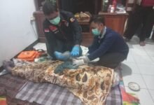 PENEMUAN MAYAT DI PARIT GEGERKAN WARGA DESA SEWULAN DAGANGAN U6 1001377216