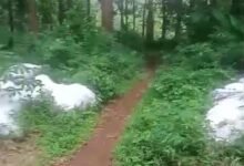 DIDUGA LIMBAH KOTORAN AYAM CEMARI HUTAN KPH DI MRUWAK, WARGA KELUHKAN DAMPAKNYA 1001486599