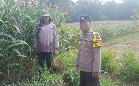 Sambut Hari Bhayangkara ke-80, Bhabinkamtibmas Polsek Tarokan Cek Lahan Jagung dan Edukasi Petani di Desa Tarokan untuk Dukung Ketahanan Pangan