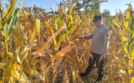 Demi Menjaga Hubungan Lebih Dekat Dengan Petani Kanit Binmas Polsek Gondang Terjun ke lapangan