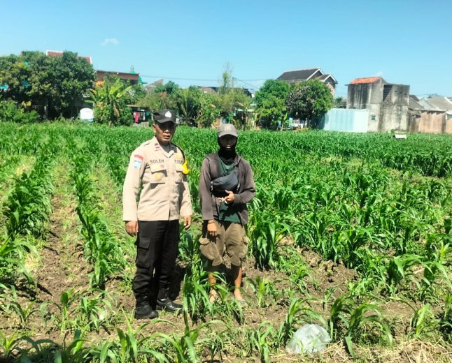 Bhabinkamtibmas Ngampel Aktif Dampingi Petani, Wujud Pengabdian Polri untuk Ketahanan Pangan