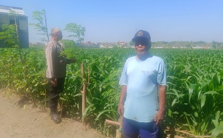 Dukung Swasembada Pangan, Bhabinkamtibmas Sukorame Turun ke Sawah Dampingi Petani Jagung