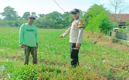 Bhabinkamtibmas Polsek Mojoroto Turun ke Sawah, Dampingi Petani Jagung Wujudkan Swasembada Pangan Nasional
