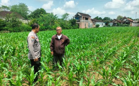 Bhabinkamtibmas Bandar Kidul Perkuat Ketahanan Pangan Lewat Pendampingan Petani Jagung di Mojoroto