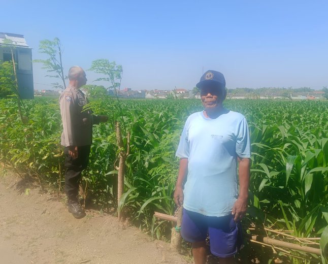 Dukung Swasembada Pangan, Bhabinkamtibmas Sukorame Turun ke Sawah Dampingi Petani Jagung