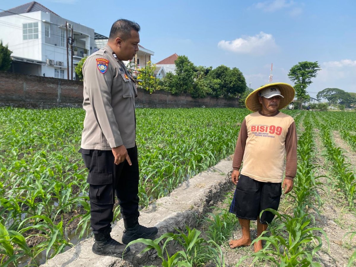 Bhabinkamtibmas Kelurahan Banjaran Dampingi Petani Jagung, Perkuat Ketahanan Pangan Menuju Swasembada Nasional