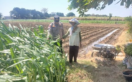 Bhabinkamtibmas Polsek Banyakan Cek Tanaman Jagung, Dorong Petani Perkuat Ketahanan Pangan