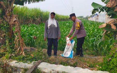 Bhabinkamtibmas Rejomulyo Turun ke Lahan Jagung, Dampingi Petani Persiapkan Pemupukan
