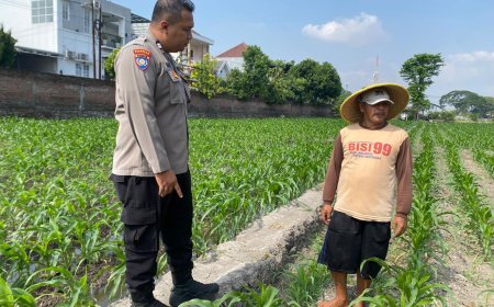 Bhabinkamtibmas Kelurahan Banjaran Dampingi Petani Jagung, Perkuat Ketahanan Pangan Menuju Swasembada Nasional