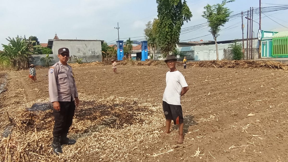 Bhabinkamtibmas Campurejo Dampingi Petani Tanam Jagung, Dorong Ketahanan Pangan di Tingkat Kelurahan