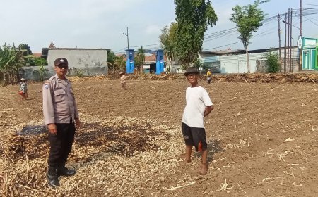 Bhabinkamtibmas Campurejo Dampingi Petani Tanam Jagung, Dorong Ketahanan Pangan di Tingkat Kelurahan