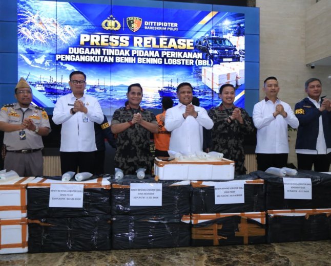 Polri Ungkap Jaringan Penyelundupan Baby Lobster Lintas Negara, Dua Pelaku Ditangkap